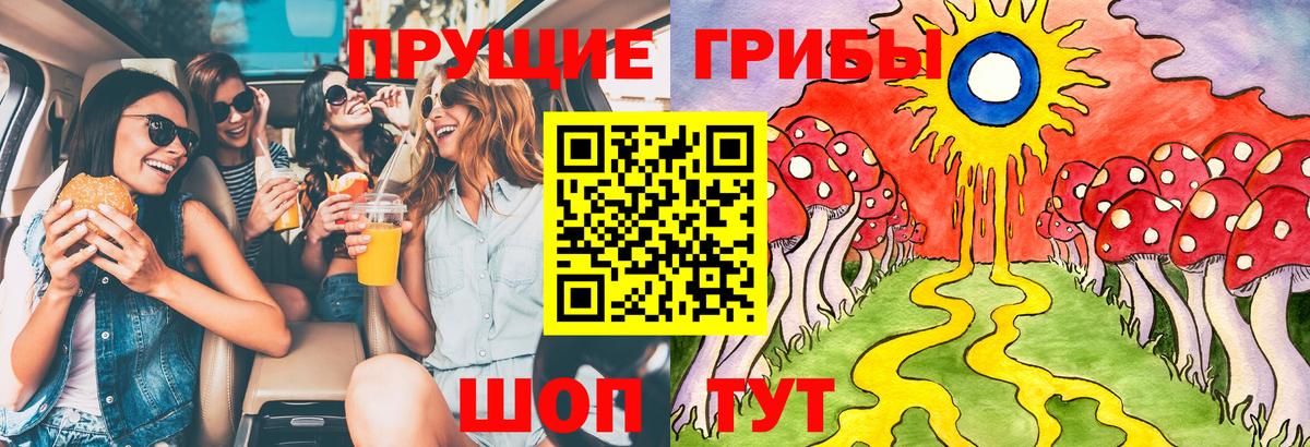 Кызыл  Псилоцибиновые грибы Psilocybe  Вход с VPN  Галлюциногенные грибы Cubensis 